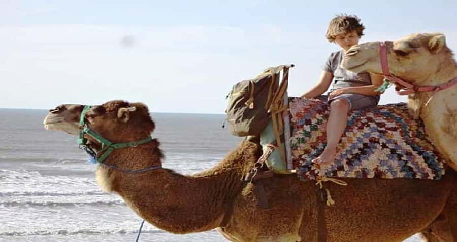Essaouira: 2-Hour Camel Ride - Hotel pickup and the start near Essaouira’s beaches
