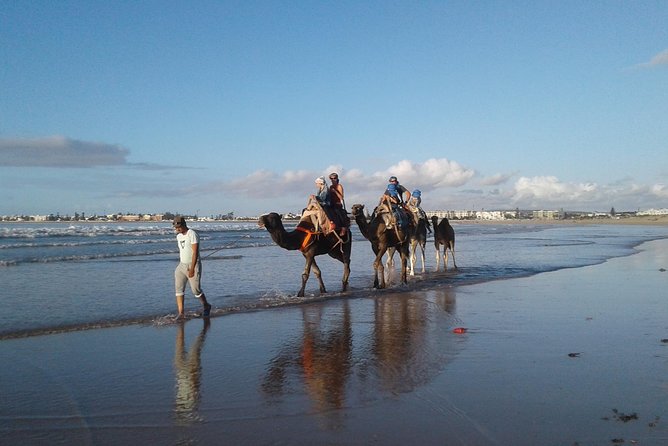 Essaouira: 2H camel/pick up and drop off including - Reaching the camel route from Essaouira