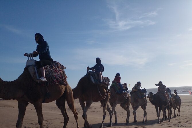 Essaouira: 2H camel/pick up and drop off including - Mounting the camels for the first time
