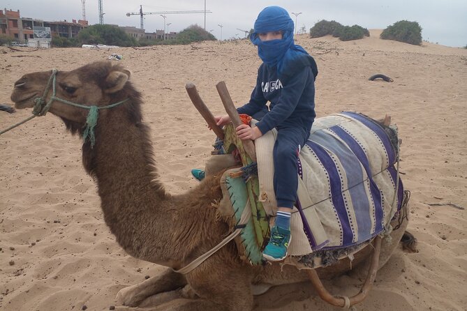 Essaouira: 2H camel/pick up and drop off including - The Jimmy Hendrix café stop