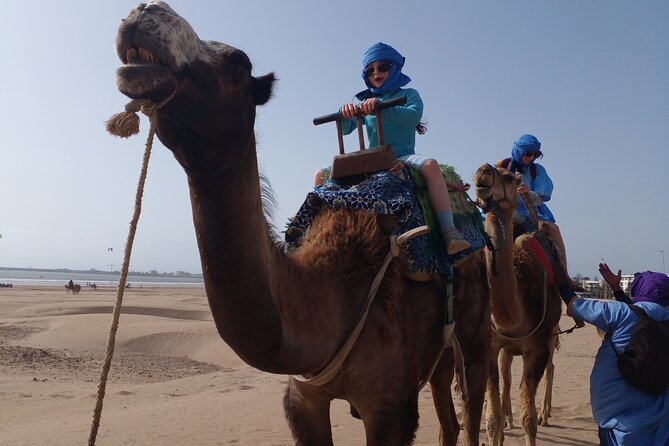 Essaouira: 2H camel/pick up and drop off including - Why sunset is worth choosing
