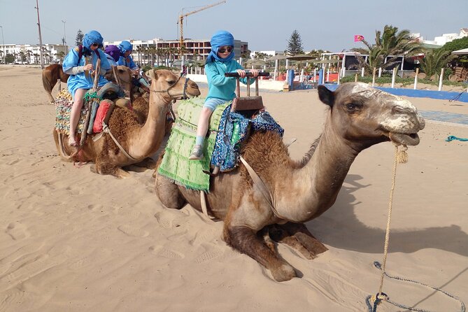 Essaouira: 2H camel/pick up and drop off including - Private groups, families, and comfort