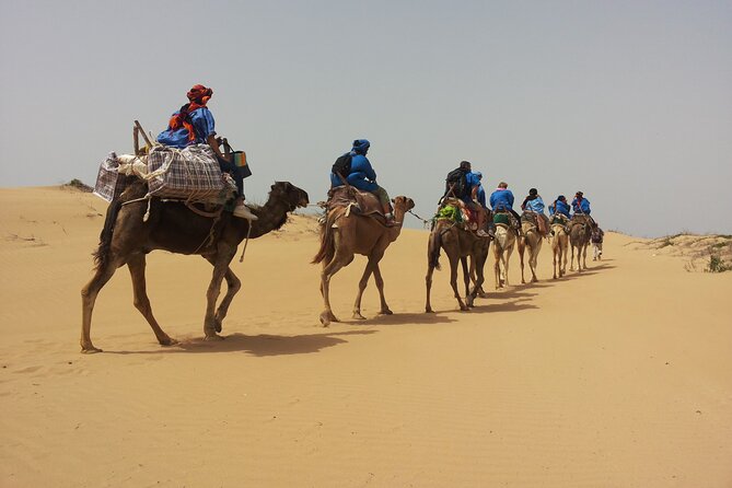 Essaouira: 3-Hour Camel Tour - Key points to know before you book