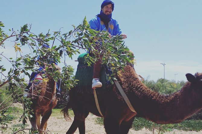 Essaouira: 3-Hour Camel Tour - Why this camel ride fits Essaouira