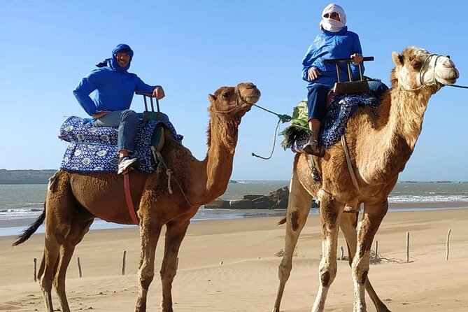 Essaouira: 3-Hour Camel Tour - Diabat and the Jimmy Hendrix cafe stop