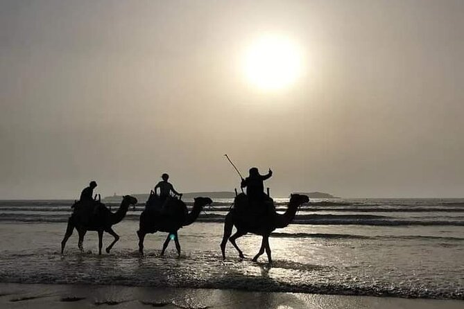 Essaouira: 3-Hour Camel Tour - The value of a private three-hour tour