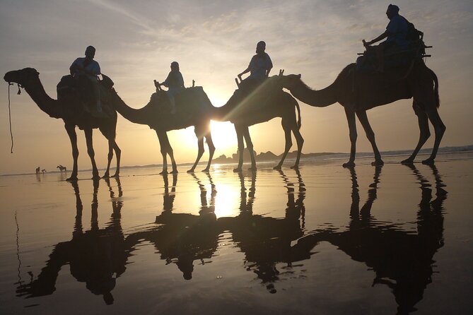 Essaouira: 3-Hour Camel Tour - Who should book this experience