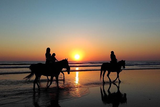 Essaouira Activities: Discover Essaouira by Quad - The Atlantic beach section