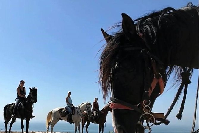 Essaouira Activities: Discover Essaouira by Quad - Choosing between horse and dromedary camel