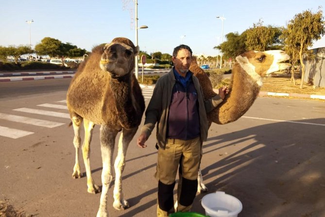 Essaouira Activities: Discover Essaouira by Quad - Why timing matters so much