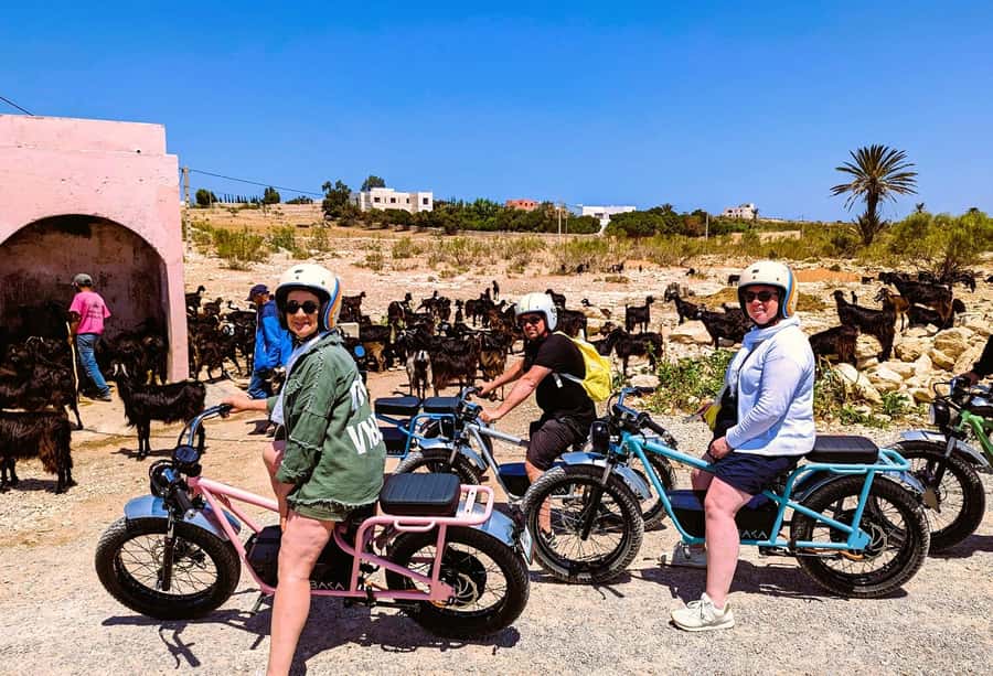 Essaouira: Area Highlights Guided E-Bike Tour - Returning beside the river with medina views