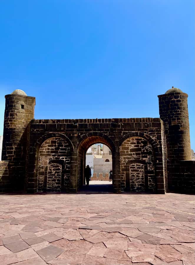 Essaouira City day Trip from Marrakech - The vehicle, guides, and service