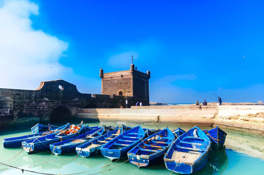 Essaouira Day Trip from Agadir - The argan trees and the roadside stops