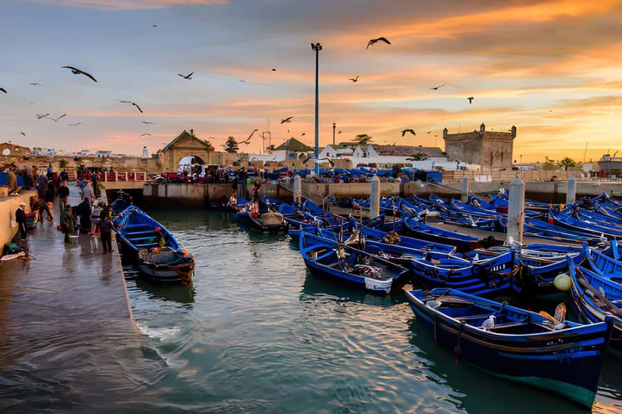 Essaouira Day Trip from Agadir - Guides, group feel, and service