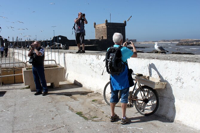 Essaouira day trip from Marrakech - Who should book this Essaouira day trip?