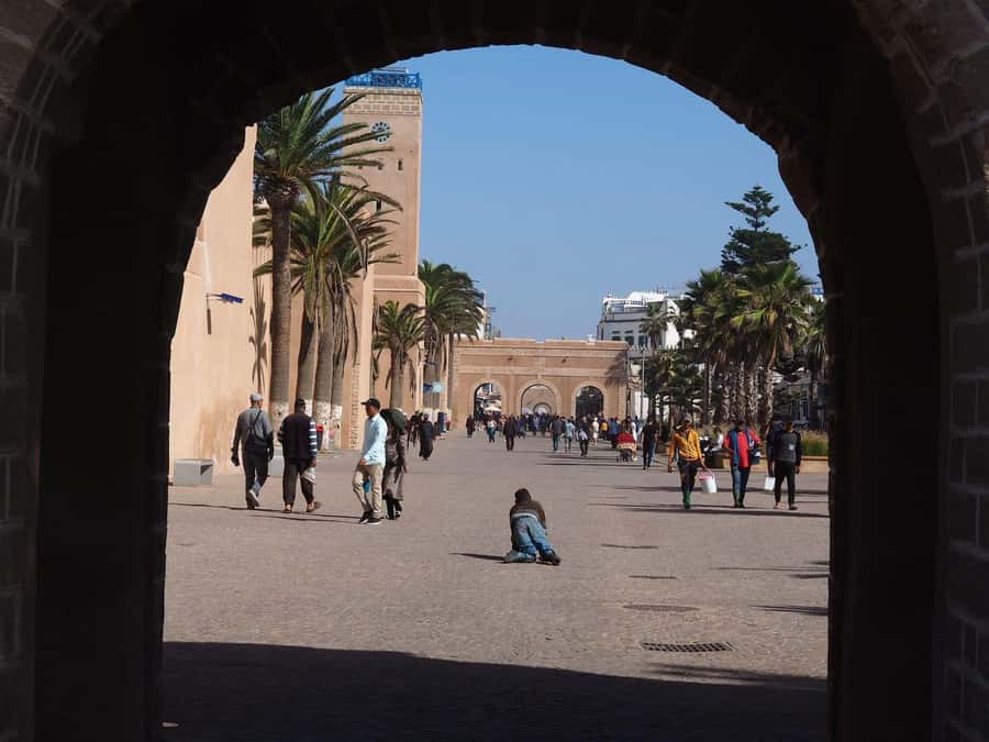 Essaouira Day Trip from Marrakech _ medina, old port - The argan oil cooperative near Marrakech