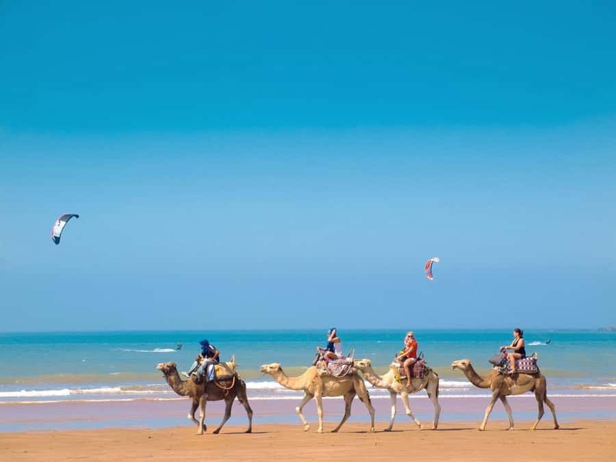 Essaouira Day Trip from Marrakech _ medina, old port - Moulay El Hassan Square, souks, and free time