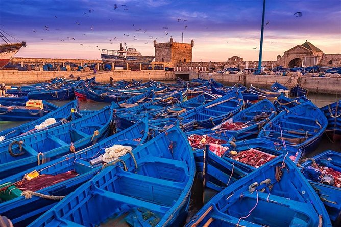 Essaouira excursion 1 day departure from Agadir - Key Points Before You Book