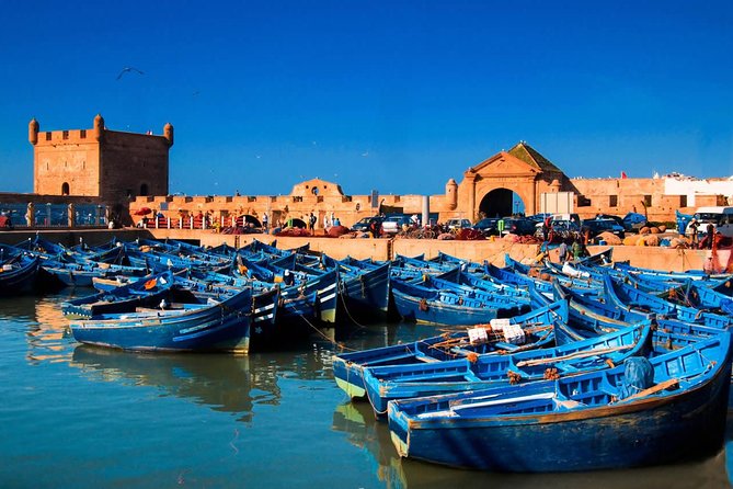Essaouira-Full-Day-Trip-From-Marrakech - The drive through Morocco’s argan country