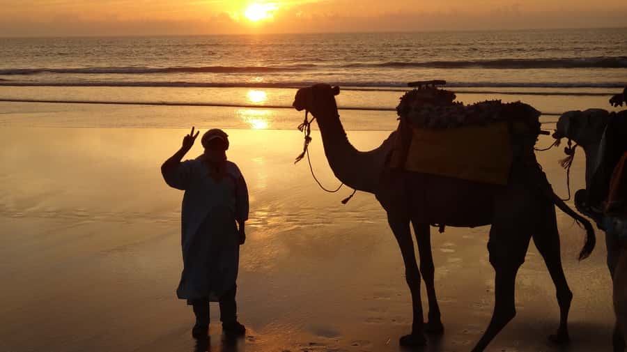 Essaouira: One Hour Dromedary Ride - Key Points Before You Book