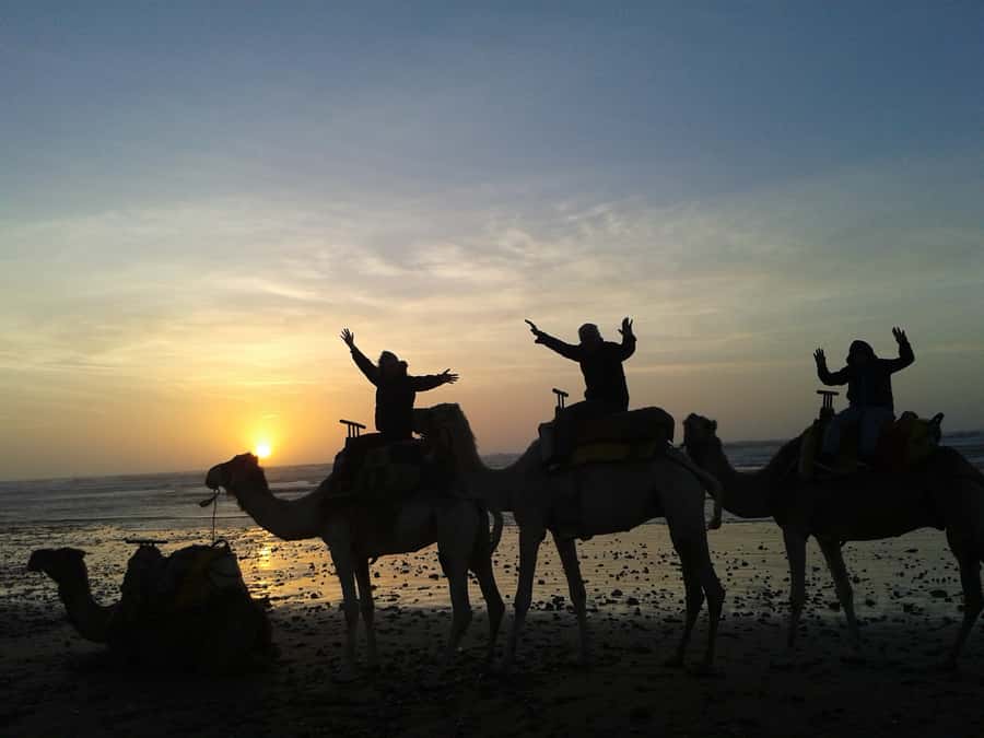 Essaouira: One Hour Dromedary Ride - Why This Ride Works Near Essaouira