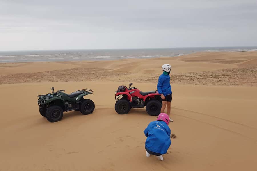 Essaouira P3: Quad tour forest beach dunes (free transfer) - Key points to know before you book