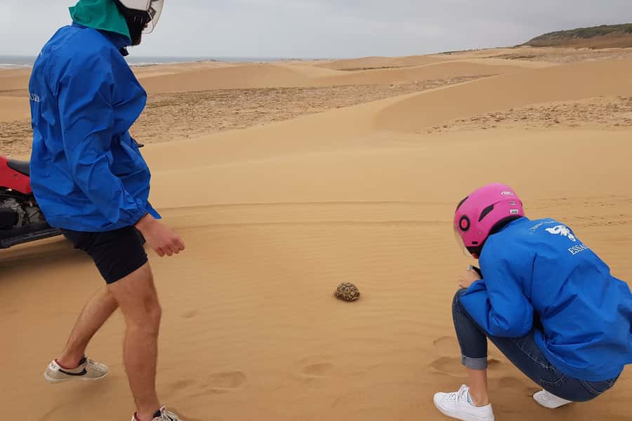 Essaouira P3: Quad tour forest beach dunes (free transfer) - The long beach and coastal views