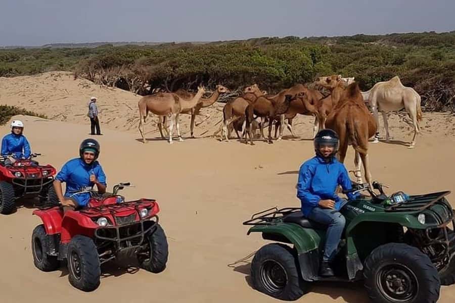 Essaouira P3: Quad tour forest beach dunes (free transfer) - Sand dunes and the more playful part of the tour