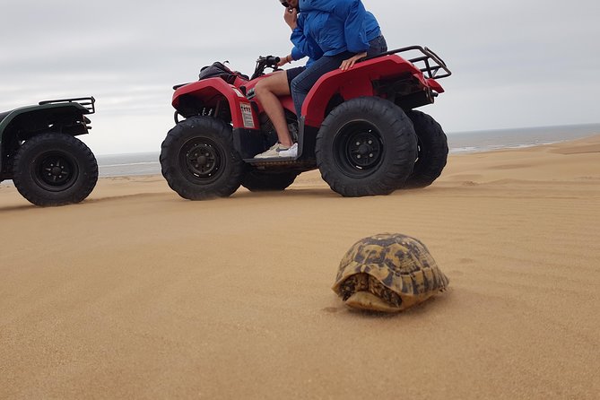 Essaouira: Pleasant Quad tour (free transfer) - Key points to know before booking