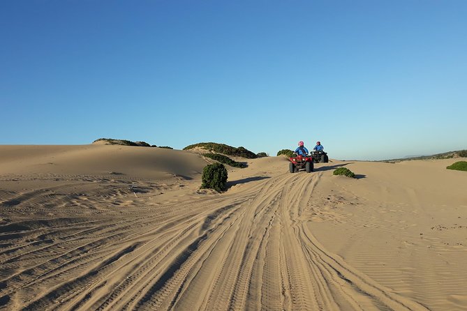 Essaouira: Pleasant Quad tour (free transfer) - Free transfer and practical planning