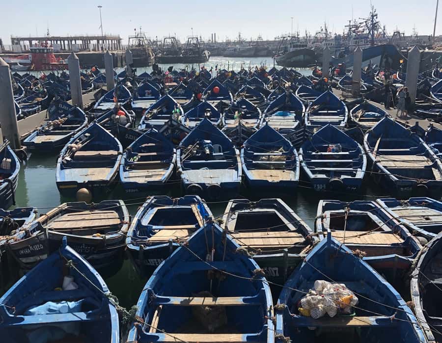 Essaouira: Private City Tour - The guides: local detail is the main attraction