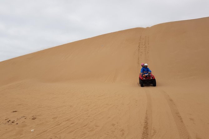 Essaouira: Quad ride / family & friends (free transfer) - What this Essaouira quad ride is really like