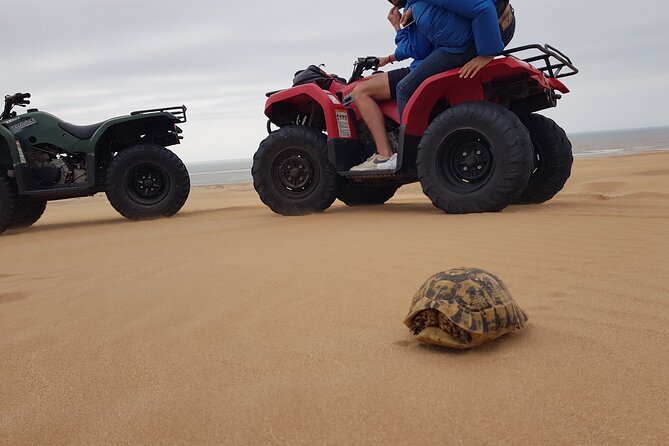 Essaouira: Quad ride / family & friends (free transfer) - Cap Sim beaches and the Atlantic edge