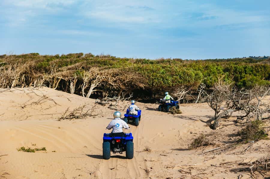 Essaouira Sand Dunes: Half Day Quad Bike Tour - The Big Dunes and Softer Sand