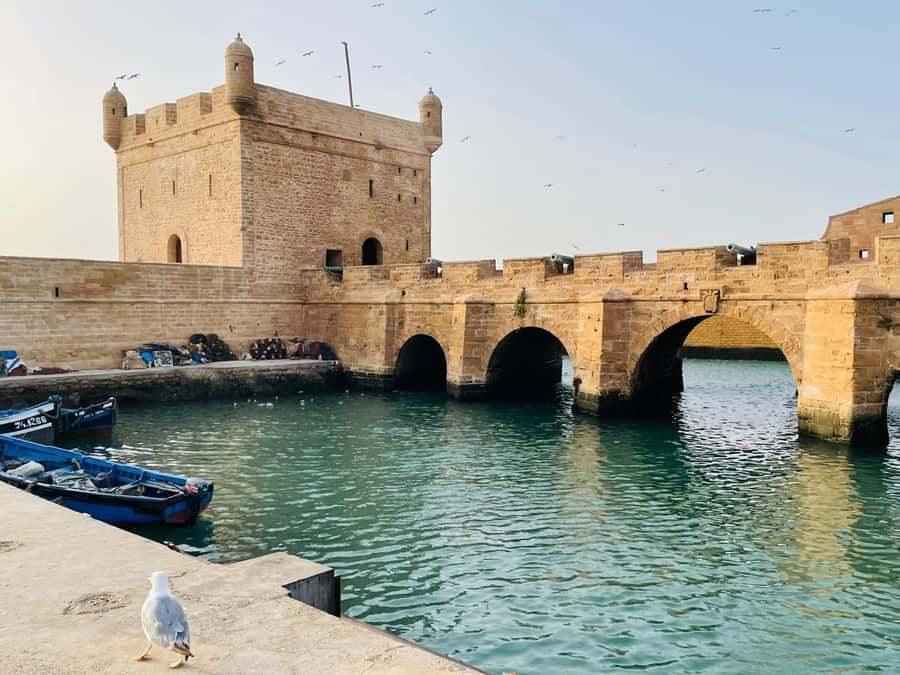 Essaouira: Sqala du Port, Citadel, Fish Market & Medina Tour - Moulay Hassan Square and the fish market