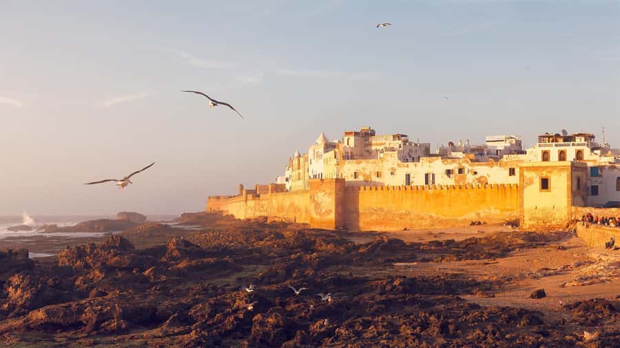 Essaouira: Sqala du Port, Medina Ramparts & Fish Market Tour - Sqala du Port and the Atlantic fortifications