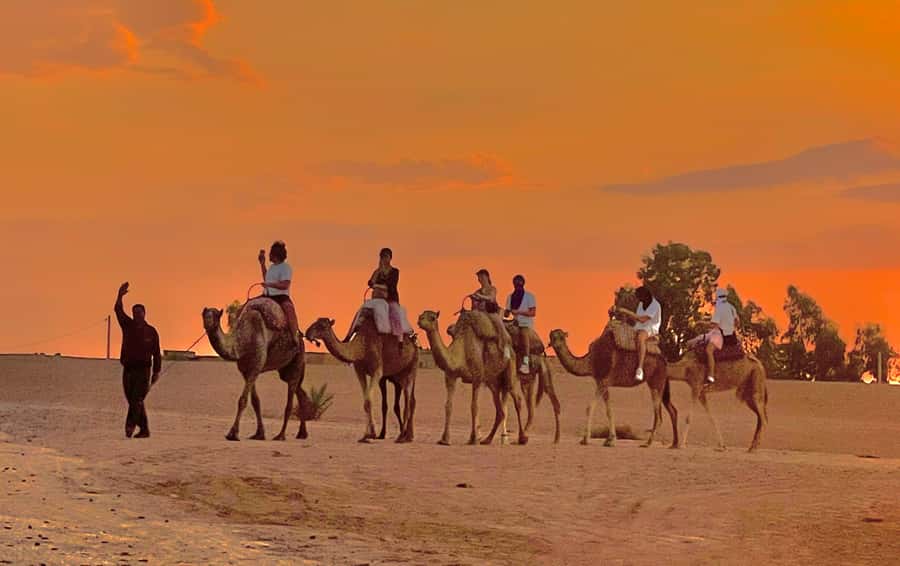 Evening Marrakech: Agafay Desert Quad , Camel & Dinner Shows - A gentle camel tour at sunset