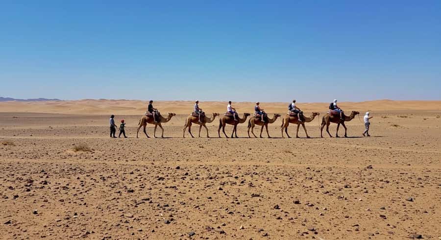 Evening Marrakech: Agafay Desert Quad , Camel & Dinner Shows - Moroccan dinner under the camp tent