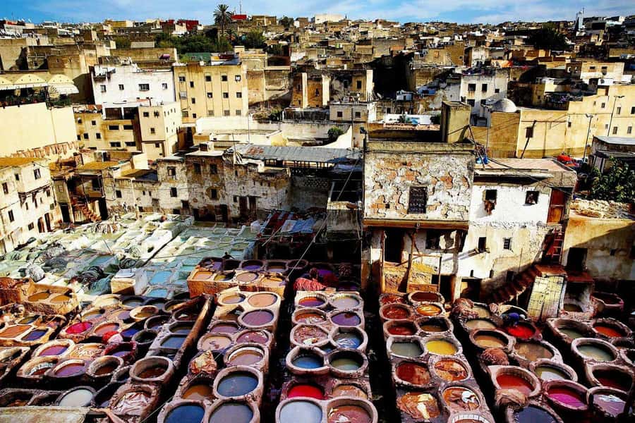Exclusive Fez Medina Walking Tour with a local Guide - Walking Through the Fez Medina