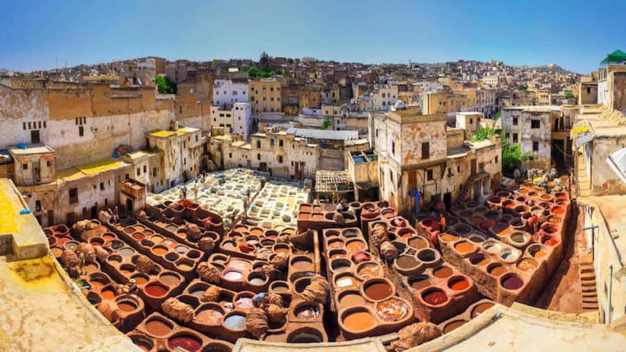 Exclusive Fez Medina Walking Tour with a local Guide - Al-Qarawiyyin and the Andalusian Mosque