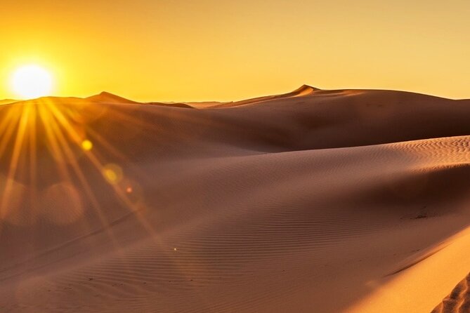 Exclusive Merzouga Desert Safari: Camel Ride, Sandsurf & Dinner - Starting at Camel’s House in Hassilabied