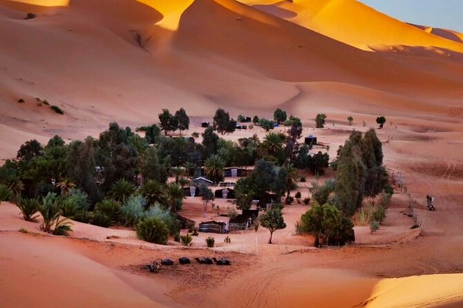 Exclusive Merzouga Desert Safari: Camel Ride, Sandsurf & Dinner - Sunset From the Dune Crest