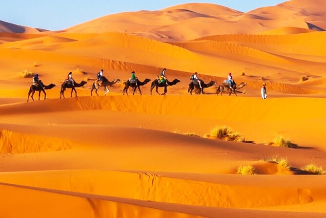Exclusive Merzouga Desert Safari: Camel Ride, Sandsurf & Dinner - What the $43.15 Price Really Buys