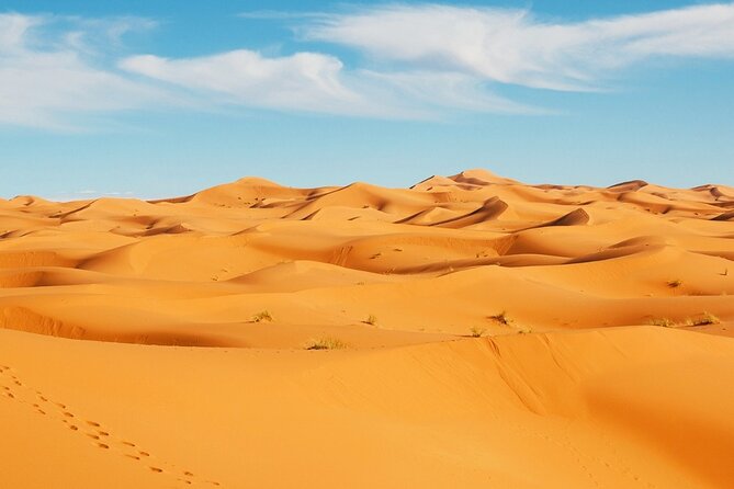 Exclusive Merzouga Desert Safari: Camel Ride, Sandsurf & Dinner - Who Will Enjoy This Desert Night Most?