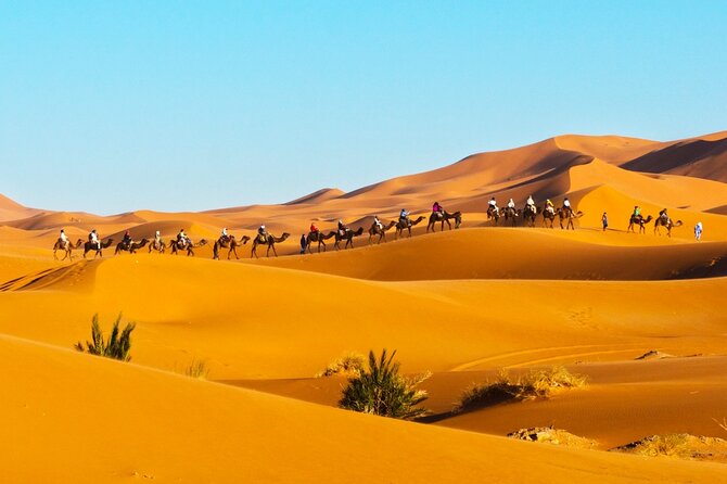 Exclusive Merzouga Desert Safari: Camel Ride, Sandsurf & Dinner - Riding Through the Orange Dunes
