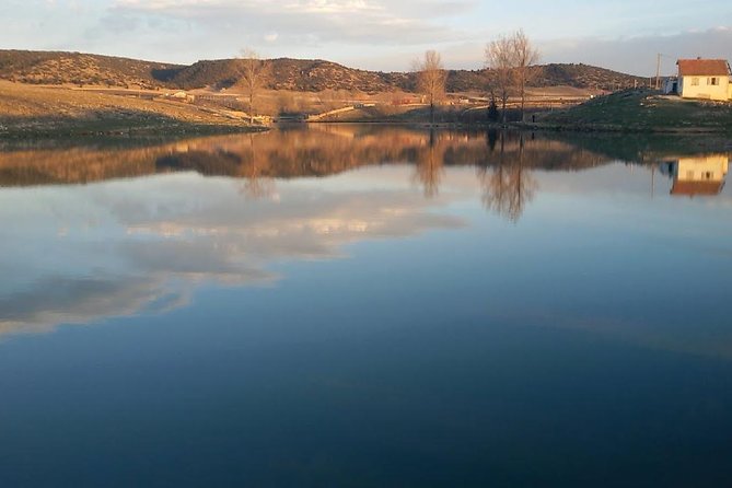 Excursion from Fez to Midle Atlas - The cedar forest and monkeys near Azrou