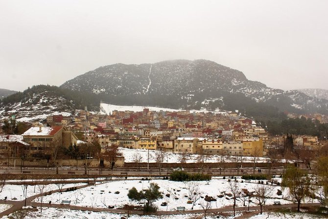 Excursion From Fez to the Middle Atlas Mountains - Azrou’s cedar woods and Barbary monkeys