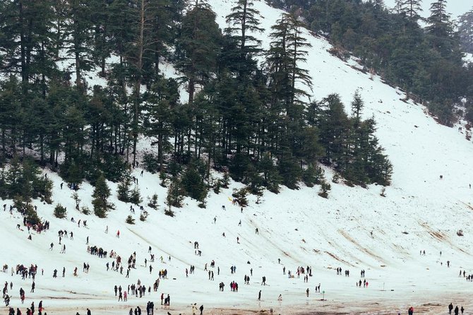 Excursion From Fez to the Middle Atlas Mountains - Ifrane, Morocco’s little Switzerland
