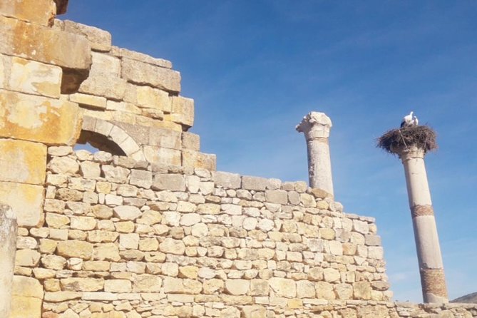 Excursion Meknes Volubilis - Where Moulay Driss fits into the day