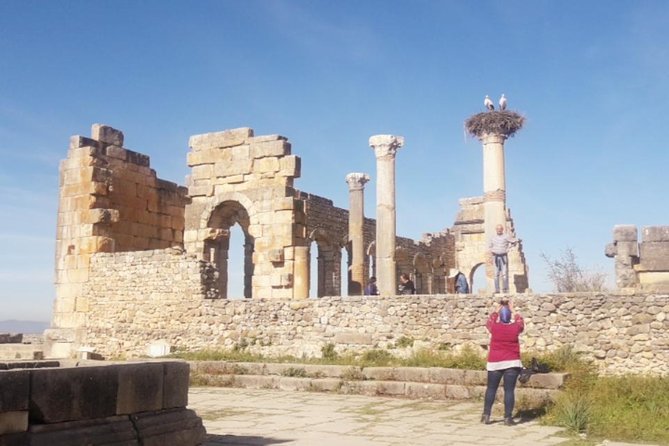 Excursion Meknes Volubilis - What the private vehicle adds